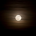 Tonight's moon